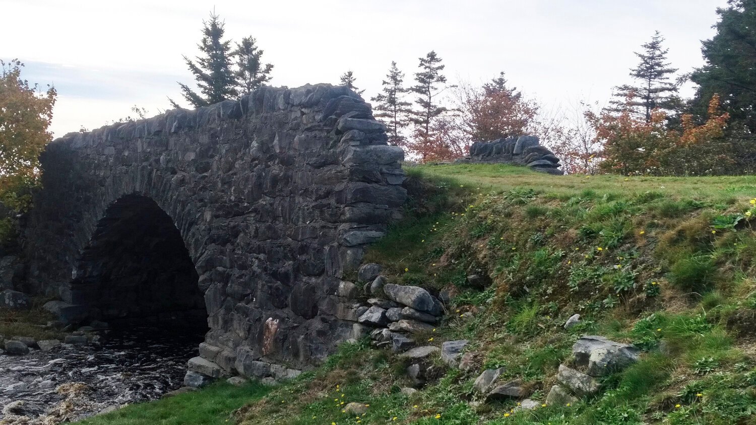 Hipson-Bridge -Rehabilitation